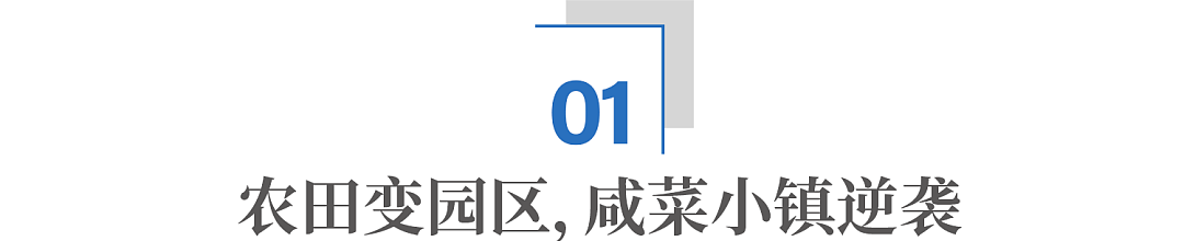 上海张江30年:如何从咸菜小镇,到中国新科技心脏?(组图) - 2