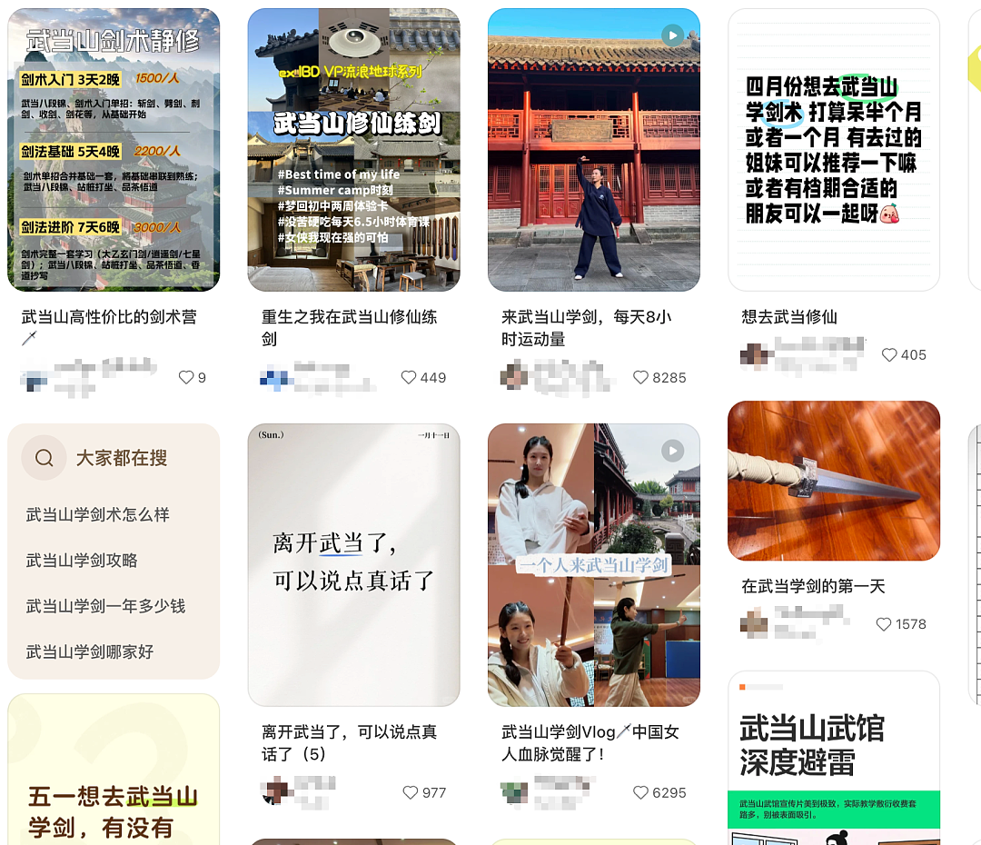 放弃出片的中产，挤爆“旅游兴趣班” - 11
