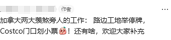 一个人挖坑,一群人围观:工地这一幕,让华人彻底看懂加拿大效率(组图) - 4