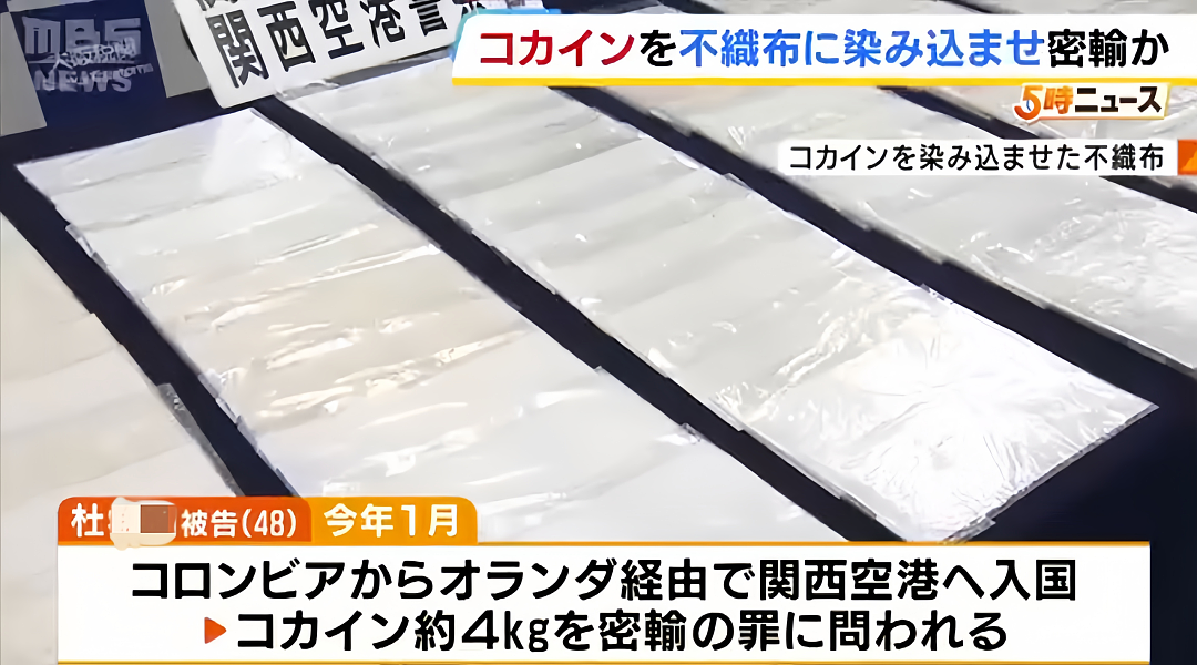 中国48岁女子入境日本因行李太少被查?!竟意外搜出近亿元毒品(组图) - 7