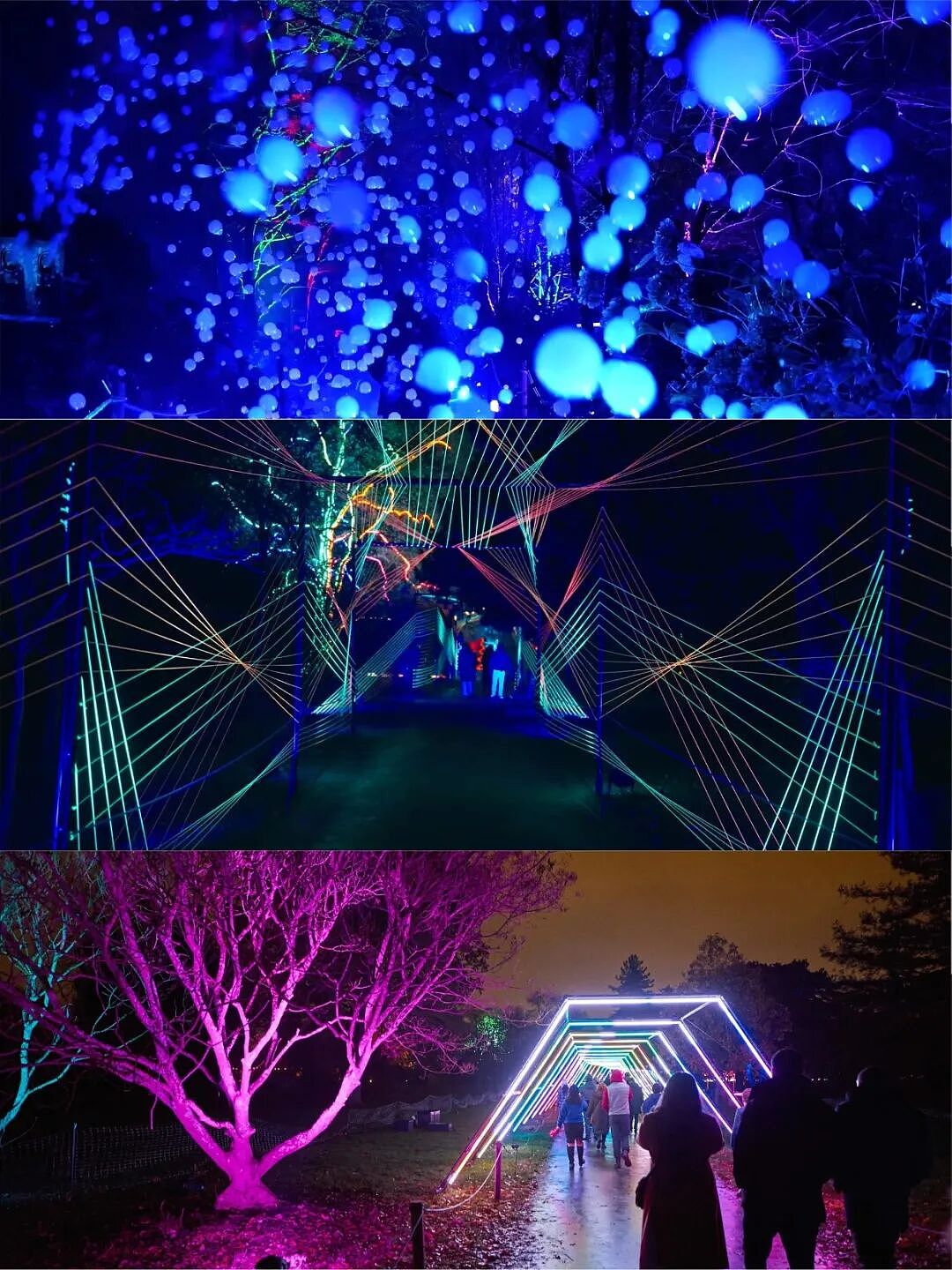 如果你觉得墨尔本冬天只有下雨和降温，那一定还没去过Lightscape（组图） - 7