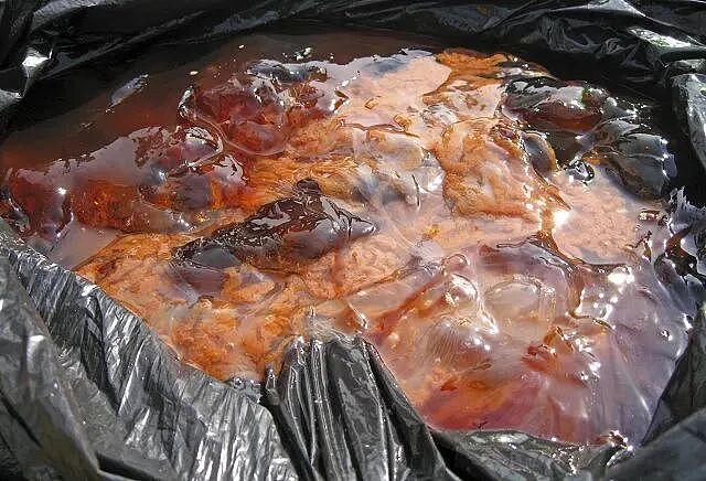 海边捞起一团暗色东西，十分钟后散架了，孩子们一个接一个被送去医院？ - 7