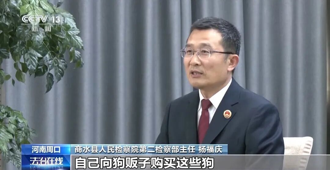 央视曝光动物救助直播骗局：低价买残疾狗卖惨摆拍，骗了250万仅3000元用在狗身上，平台投流60多万，其余大部分用于买豪车等挥霍 - 6