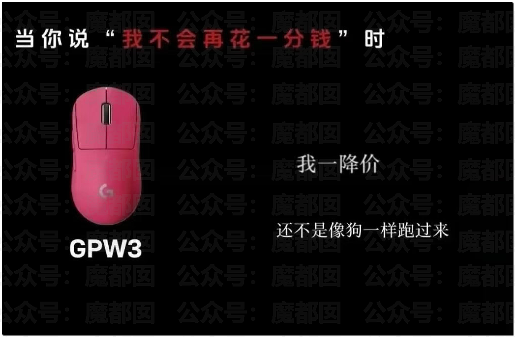 顶流品牌罗技侮辱中国消费者像狗!晋江文学城被女会员狂冲(组图) - 1