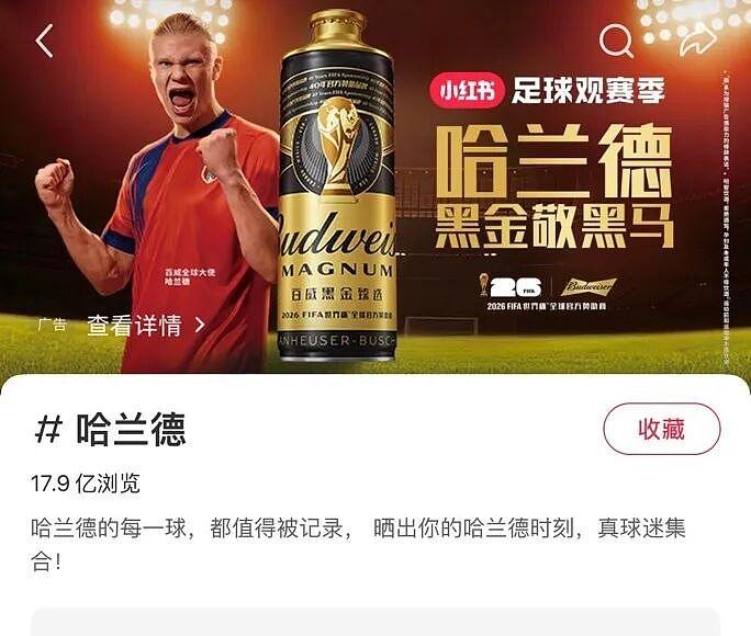 哈兰德中国粉丝超挪威人口，成世界杯最赚钱吸金机器 - 1
