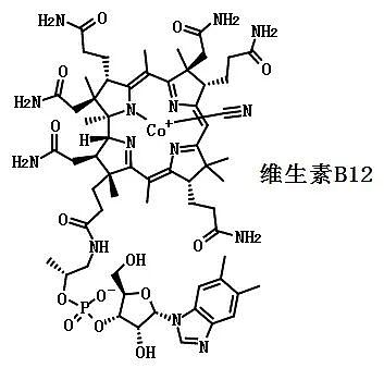 老太太整日与“鬼魂”交谈,人人说她被巫术缠身,直到一张化验单揭穿真相 - 7