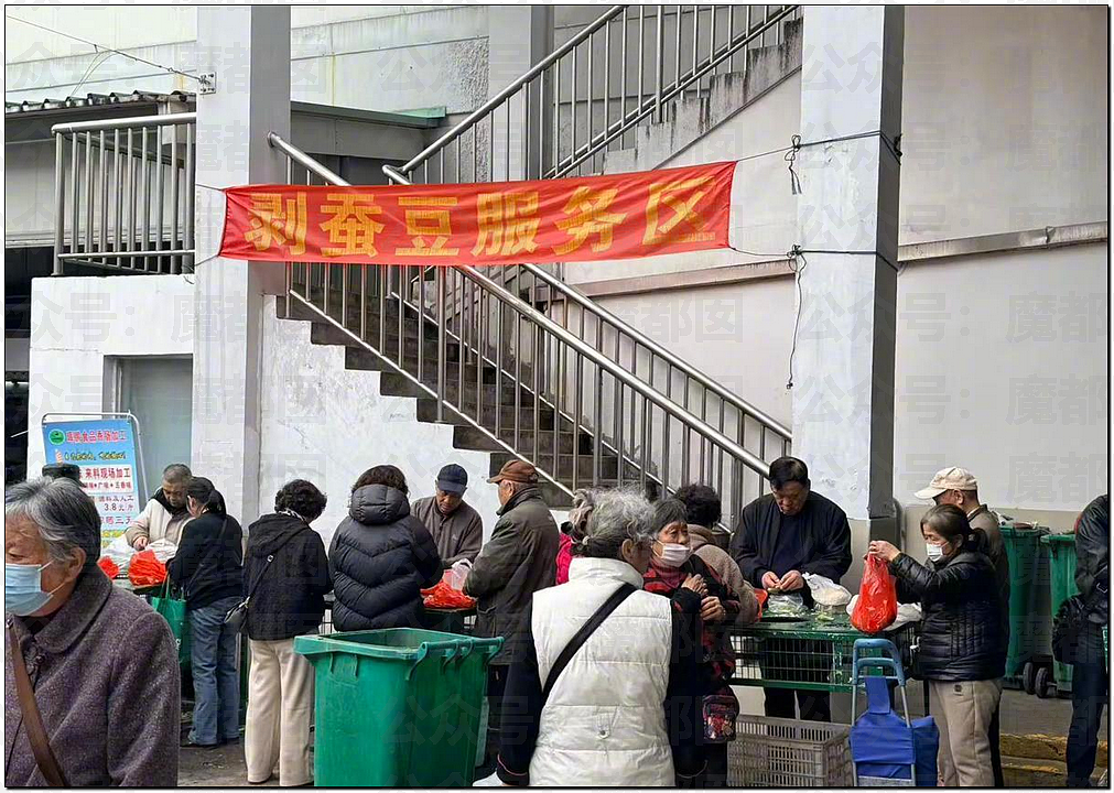 震撼！竟然不是所有人都能吃蚕豆！可能严重到溶血死亡（组图） - 5