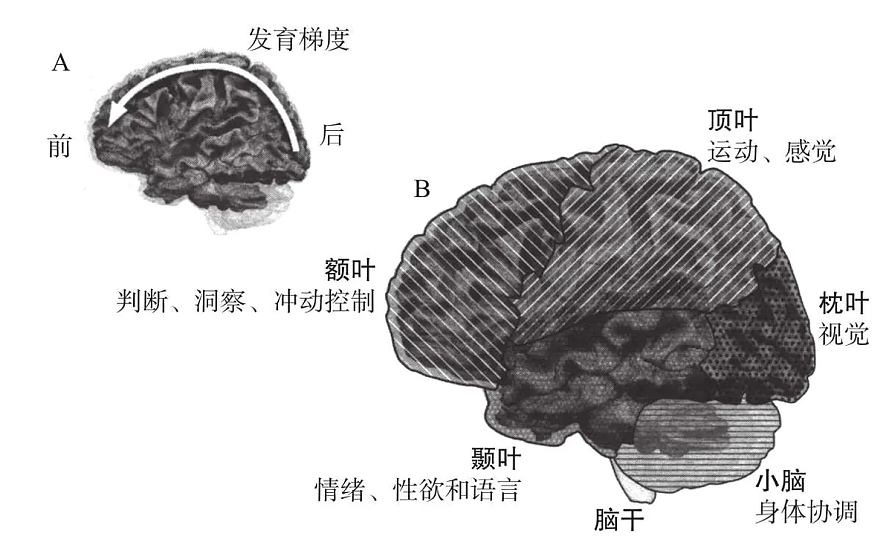知名女星当妈后确诊“精神分裂”,全网妈妈天塌了:完了,我也是这个症状…… - 23