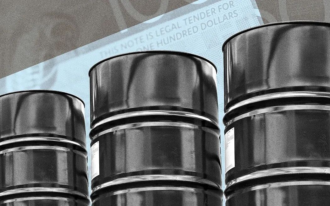 新西兰惊现“屠杀宣言”！20岁男子扬言血洗校园！警方突击搜出武器！全网停运！奥克兰火车突发系统崩溃！早高峰瘫了！家庭开支全涨！ - 8