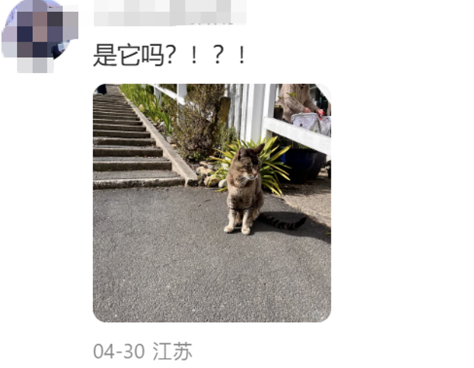 中国游客来新西兰“偷拍”民宅被发现， 屋主一句话让她破防 - 19