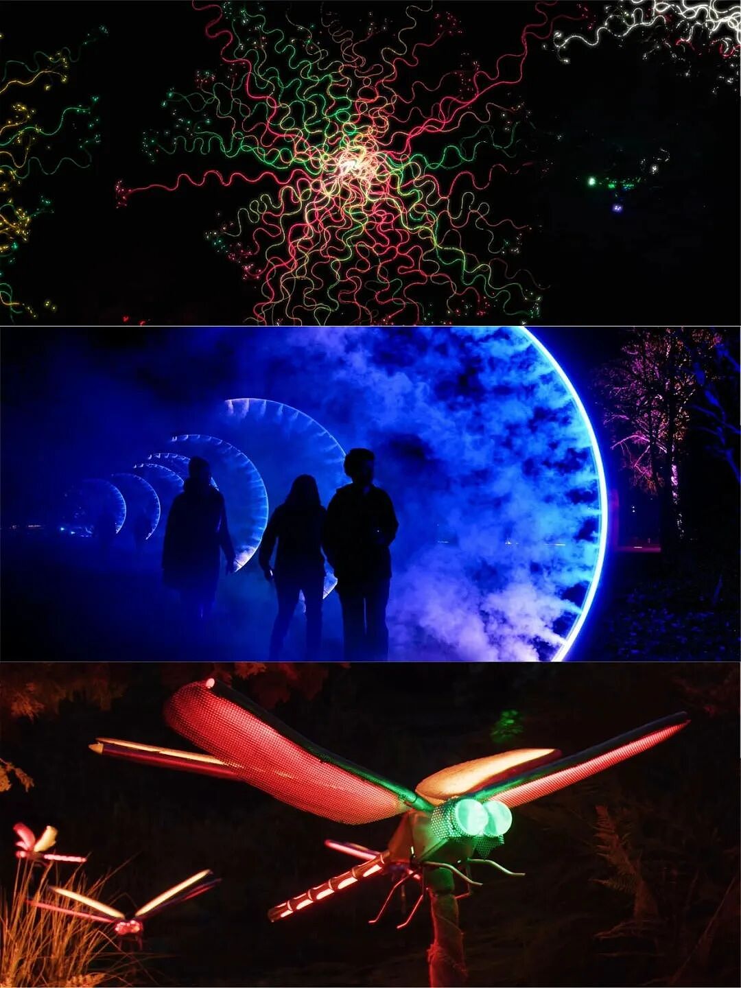 如果你觉得墨尔本冬天只有下雨和降温，那一定还没去过Lightscape（组图） - 4