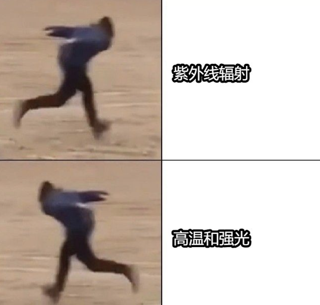 热疯了是真的！炎热让人成绩下降，狗开始咬人，鸟用头撞墙，到处都在打架… - 5