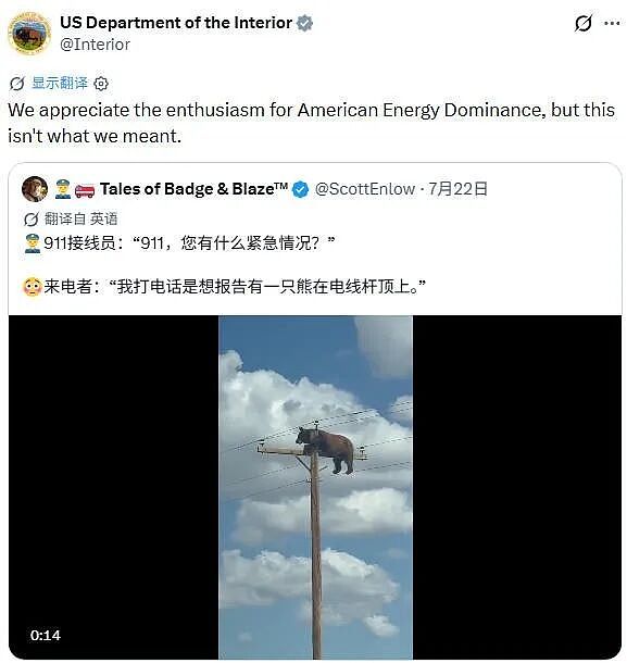 美国黑熊爬上高压电线杆触电身亡，围观者拍照致其不敢逃生 - 3