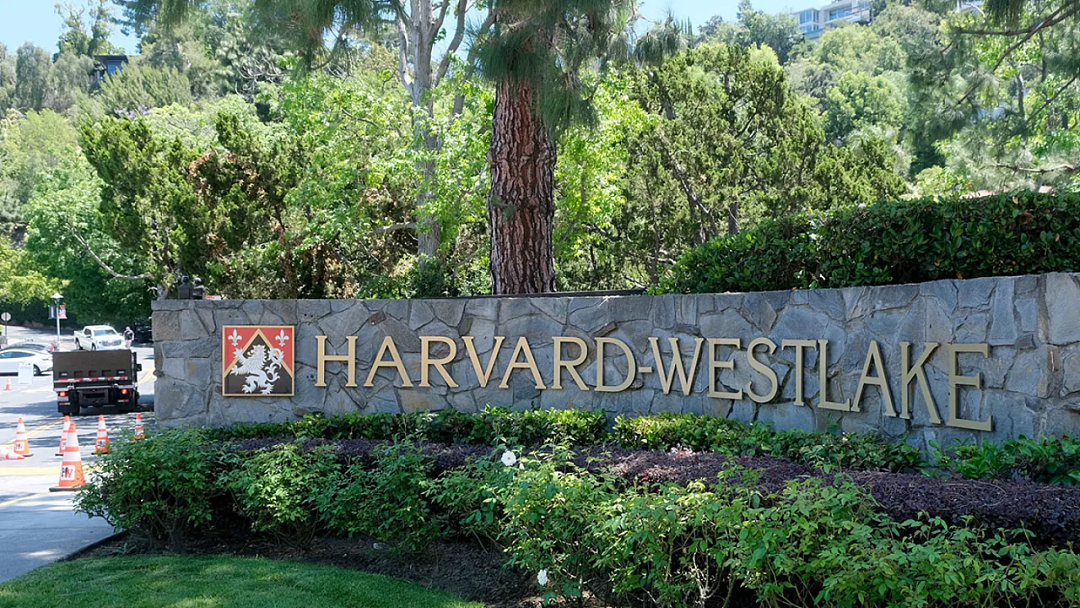 美贵族学校富二代白男侵犯黑人同学！鞭子抽打称对方是奴隶？！ - 6