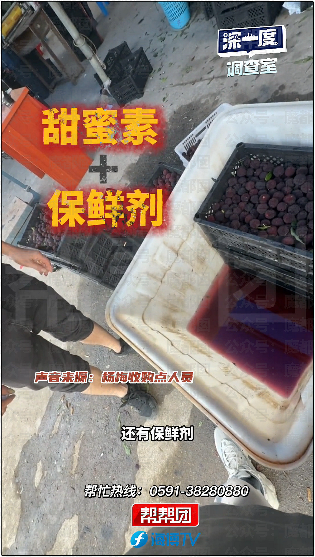 气到发抖！我们吃了那么多年杨梅竟都浸泡防腐剂和化学糖精（组图） - 37