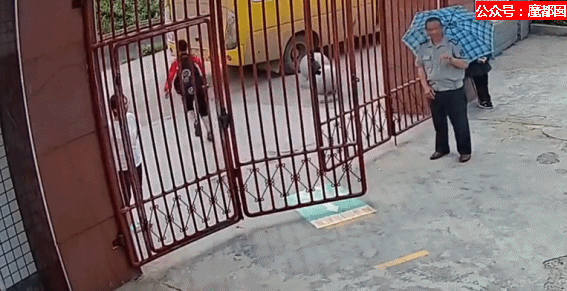 离谱！儿童独自外出冲上马路险被撞，引发安全关注（组图） - 66