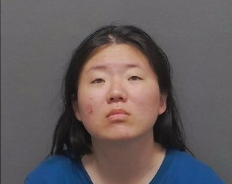 挥刀袭击消防员!非法入境华裔女子涉嫌多项重罪被捕,现场失控细节曝光(组图) - 2