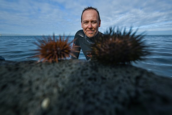澳洲海底遍地的“黑金”，顶级海鲜泛滥成灾, 伸手就能抓, 卖价昂贵澳人却不吃 - 9