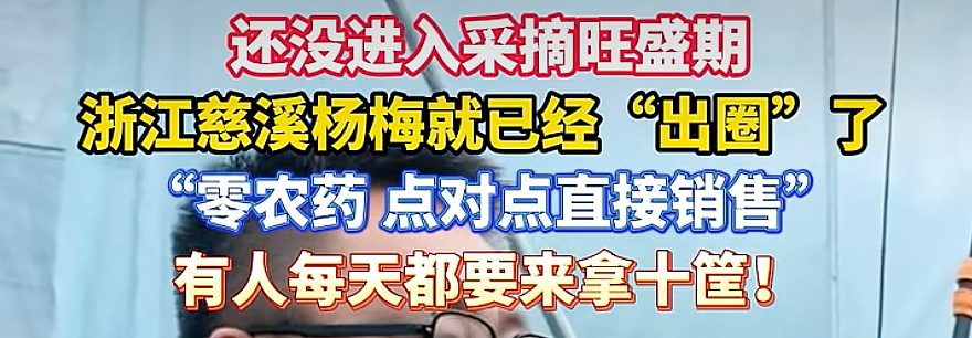 人人喊打的“泡药杨梅”，被自己人坑惨了（组图） - 26