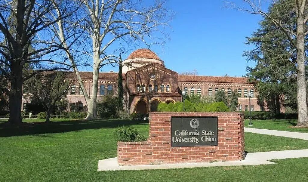 砸$1690万买ChatGPT,却裁掉615个讲师!美国大学的AI教育实验失控(组图) - 5