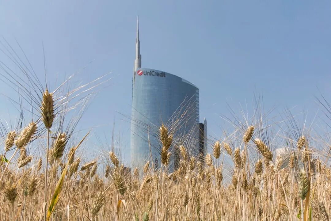 拿下纽约1000亿的地王后，她却种起了地？网友：她好疯，我好爱 - 23