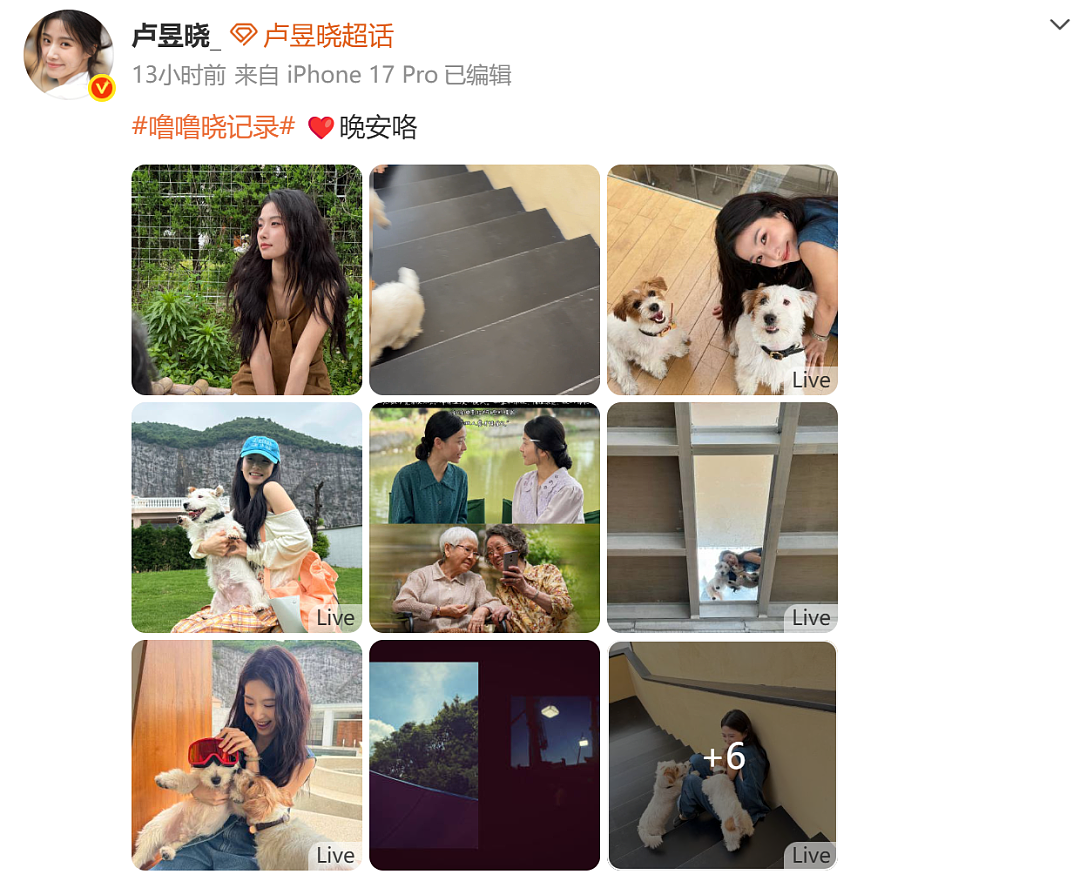 热搜第一!知名女演员卢昱晓给《给阿嬷的情书》道歉:我的行为是不当的(组图) - 2