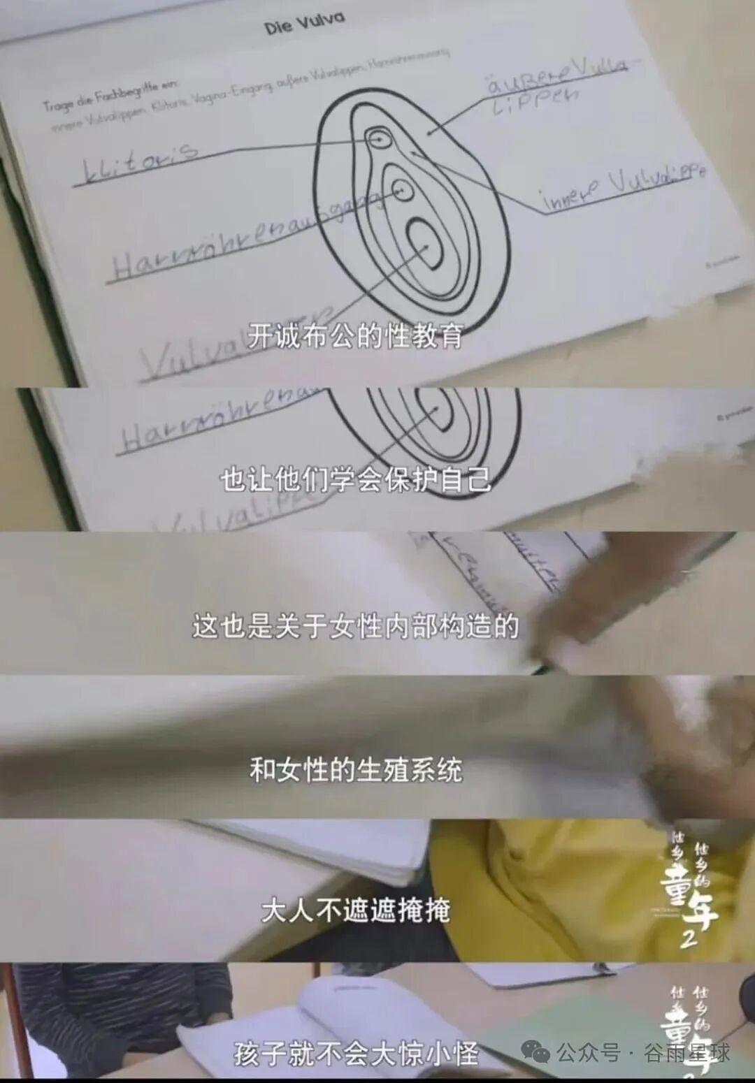 一个残酷的事实：男孩危机正在爆发（组图） - 13