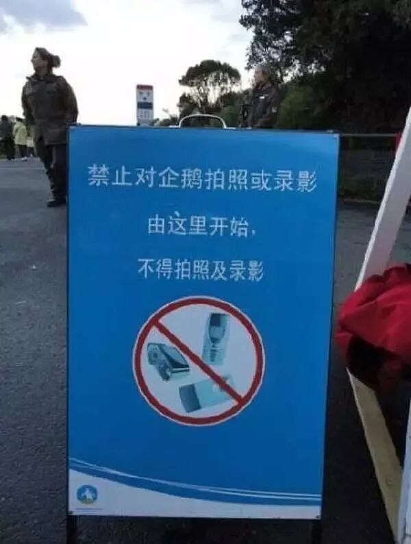 华人大妈一个惊人举动，全网愤怒！官方立案，最高判2年！澳洲设立中文告示牌…（组图） - 7