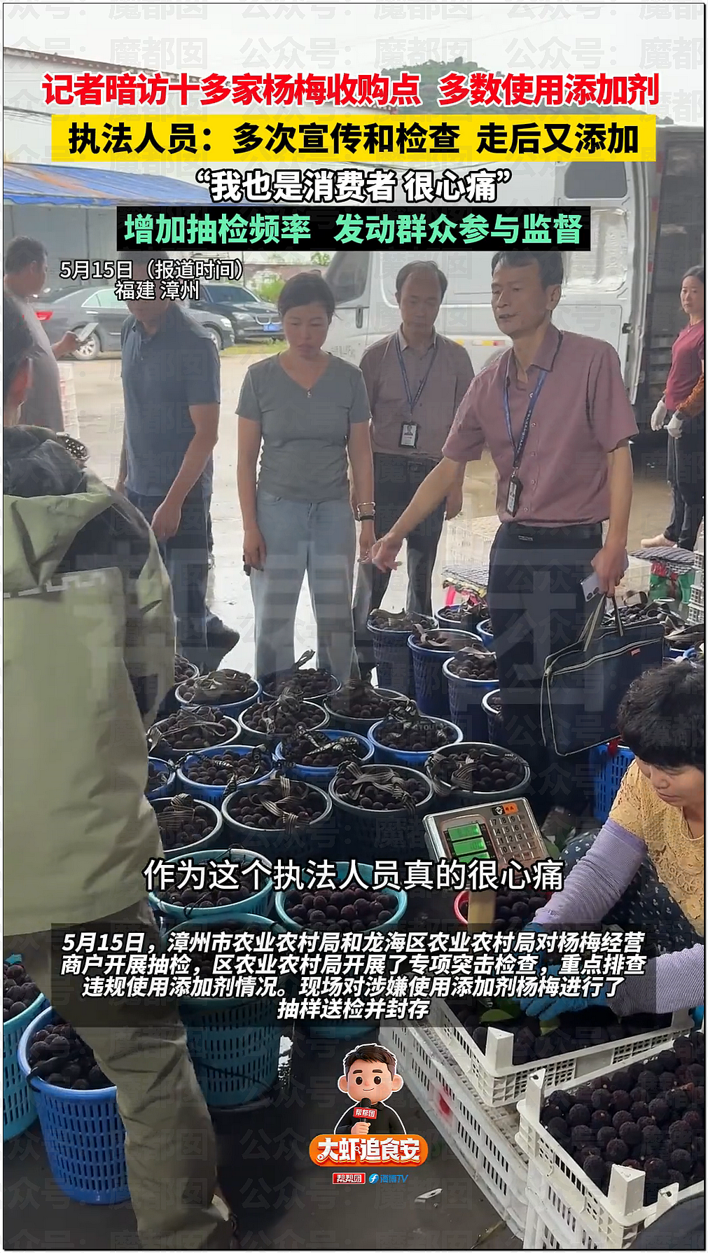 气到发抖！我们吃了那么多年杨梅竟都浸泡防腐剂和化学糖精（组图） - 42
