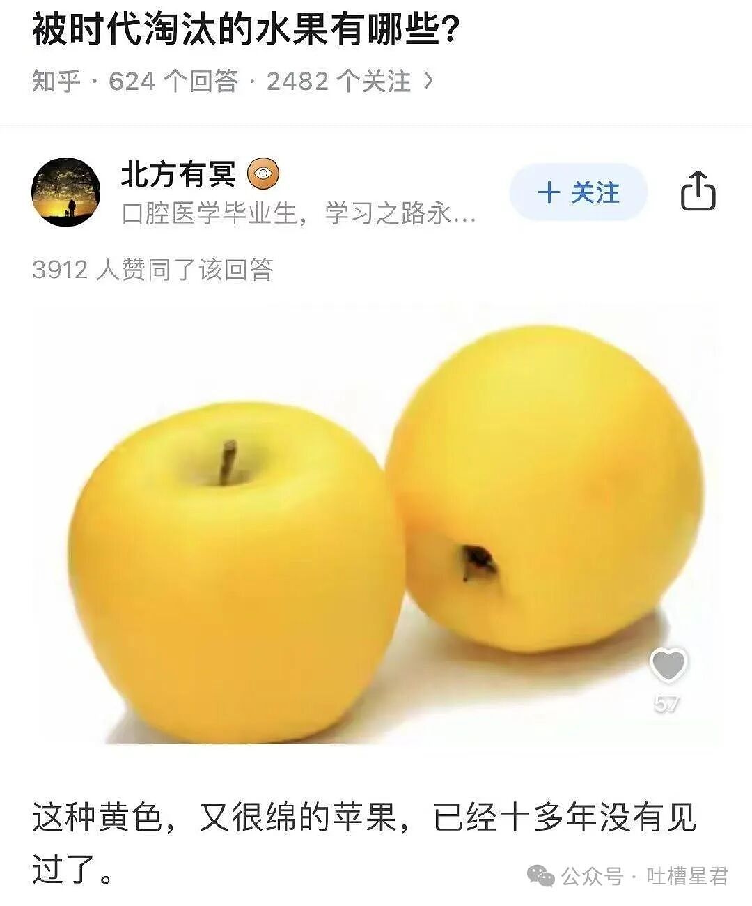 “有哪些以前很火现在被淘汰的水果...?” 这些才是真正的意难平(组图) - 13