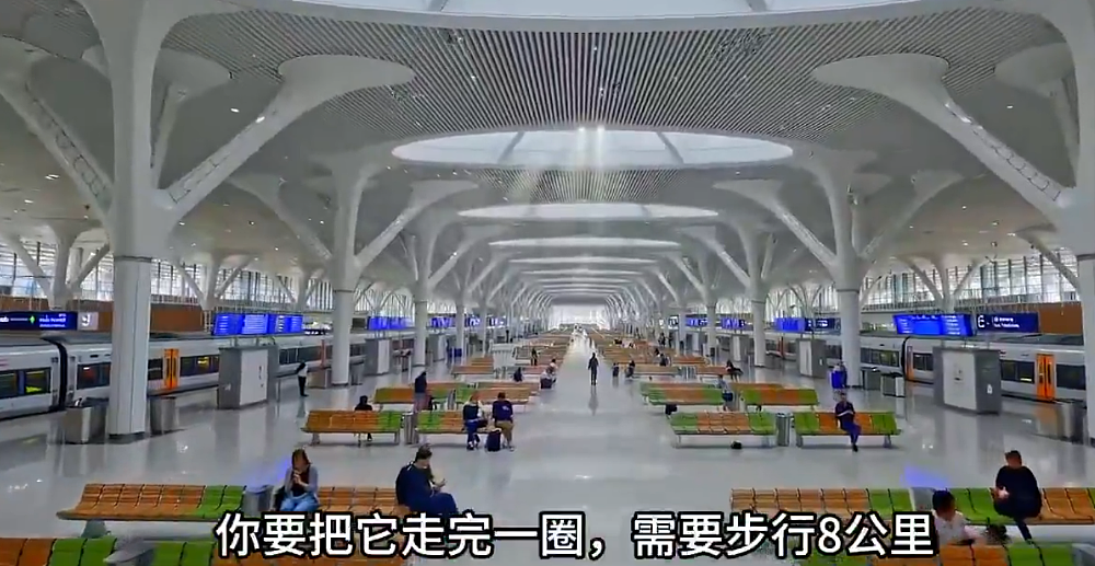 马斯克随手转发了一段中国火车站的视频，结果全世界的网友都破防了（组图） - 7
