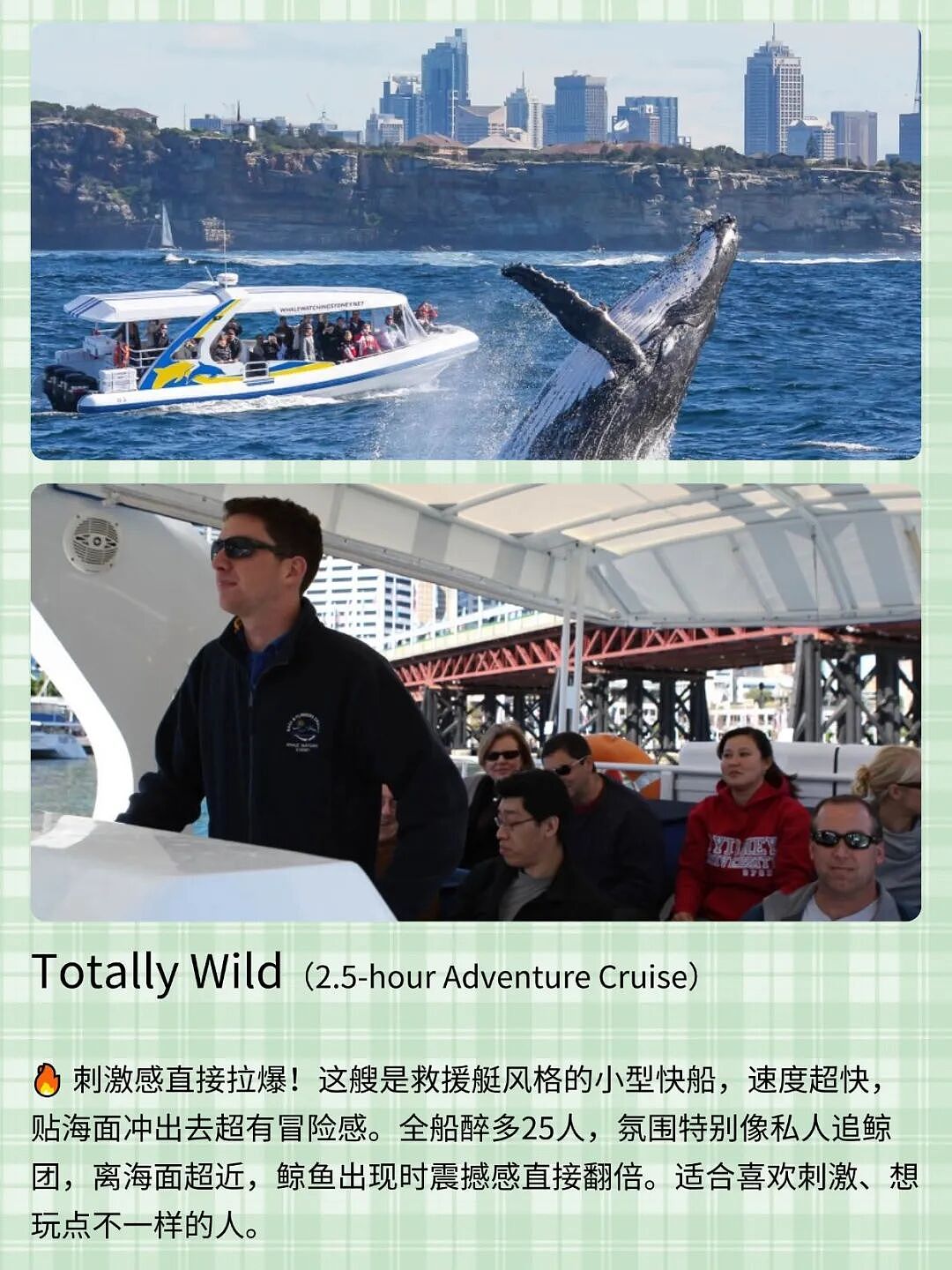 悉尼观鲸千万别盲订!!不同船体验差太多了… - 5