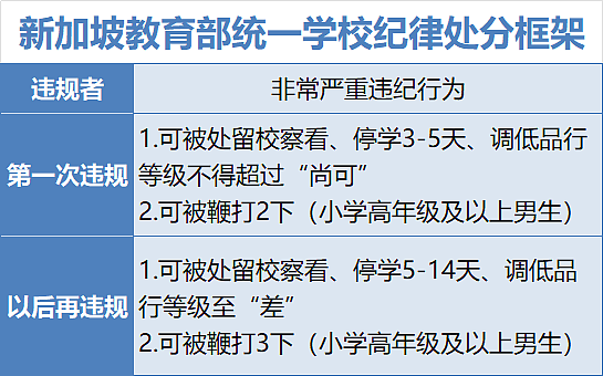 小学生“犯法”一样被打鞭！新加坡教育管制放狠招，中国新移民家长坐不住了（组图） - 9