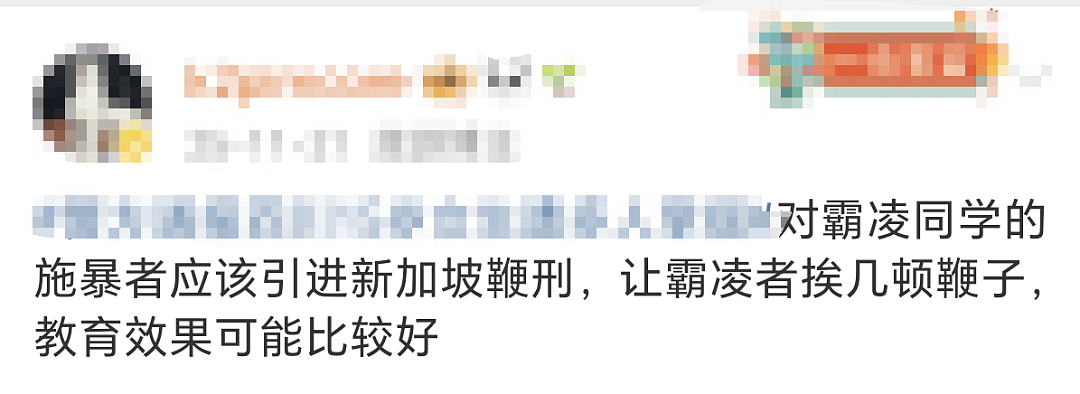 小学生“犯法”一样被打鞭！新加坡教育管制放狠招，中国新移民家长坐不住了（组图） - 25