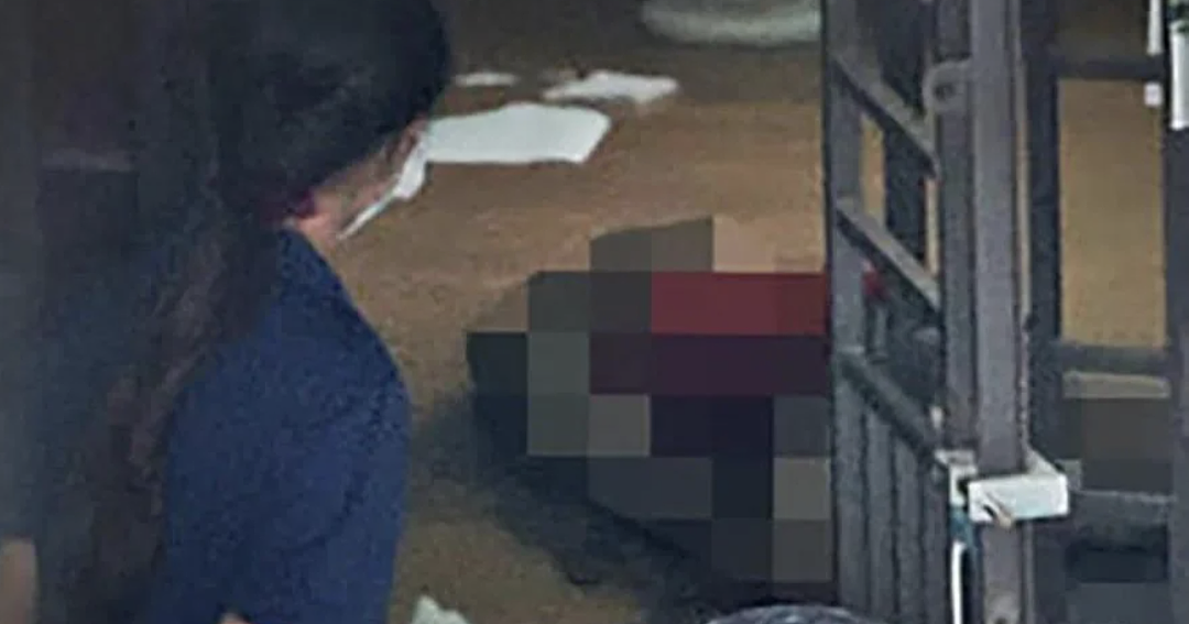 华人父女惨死新加坡家宅！女儿曾是剑桥博士，伴父亲腐尸活活饿死仅剩24公斤（组图） - 2