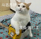 中国男子花5500来新加坡打工,中介造假人力部批文后“消失”最终…(组图) - 1