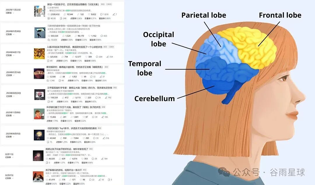 班主任吐槽“现在的孩子变笨了”!科学家:这不是错觉(组图) - 1
