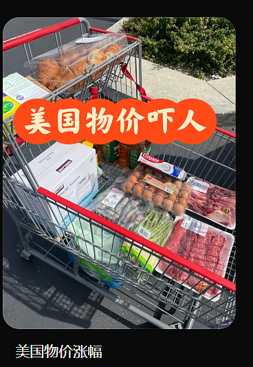 夫妻双双失业、开销上涨30%!体面的华人中产,快活不起了(组图) - 13
