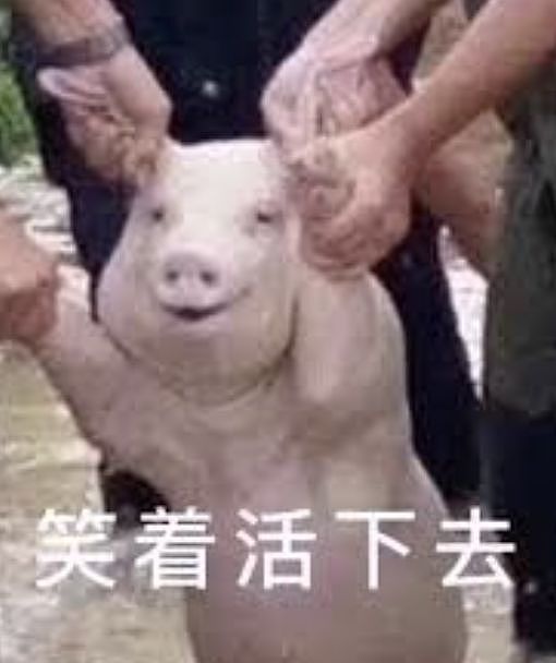 E句话 | 《功夫女足》要换片源，你还会去看吗？ - 22
