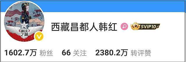 韩红发言风波升级！自曝胡同长大，一个北京人装了半辈子藏族人 - 4