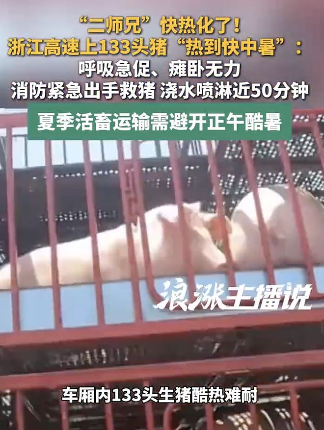 E句话 | 《功夫女足》要换片源，你还会去看吗？ - 20