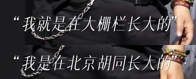 韩红发言风波升级！自曝胡同长大，一个北京人装了半辈子藏族人 - 3