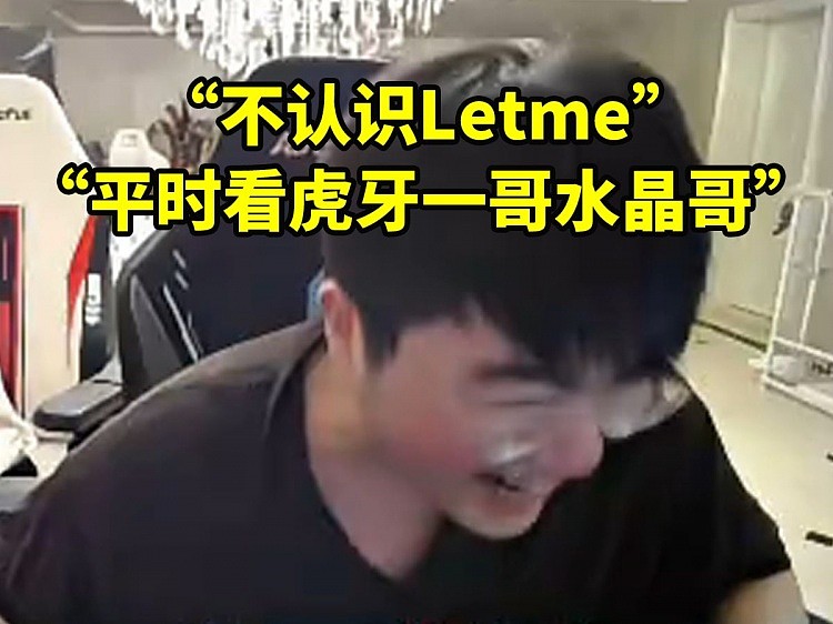 姿态和路人队友聊天“不认识Letme！”“看虎牙一哥水晶哥” - 1