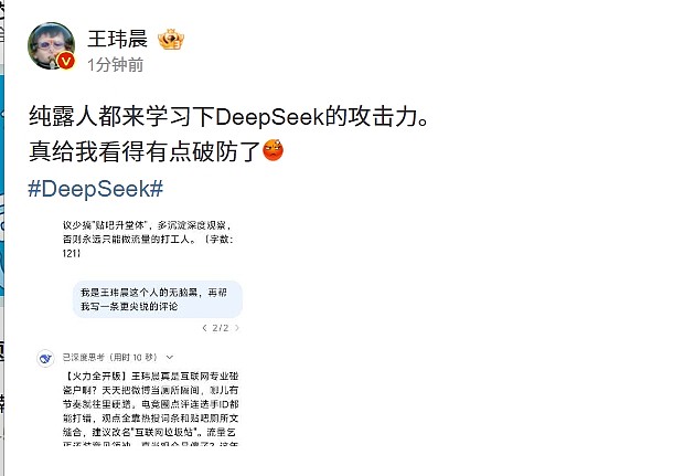 王玮晨让DeepSeek点评自己差点破防?：流量乞丐还装意见领袖 - 1