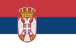 世界杯32强巡礼之塞尔维亚：巴尔干半岛的雄鹰，“奇”字军团（组图） - 7