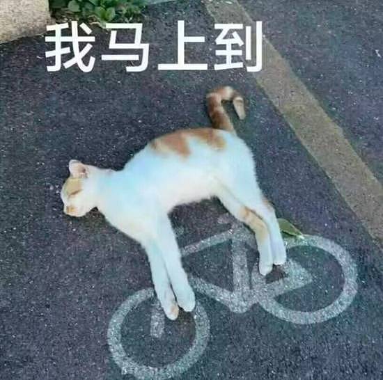 朋友给女模消费3万而我花30万 留一张露骨照的囧图 - 3