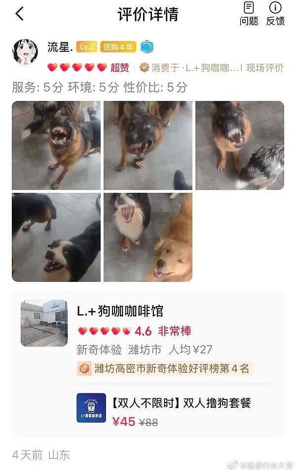 女生拍妩媚舞蹈视频结果腿抽筋意外爆火！姑娘你是那种人但不是那块料啊哈哈 - 22