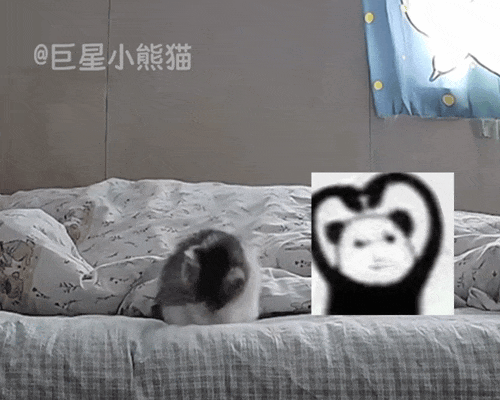 铲屎官周末懒床，监控拍下小猫咪独自起床的全过程，天啦噜怎么会有这么乖的小猫！ - 4