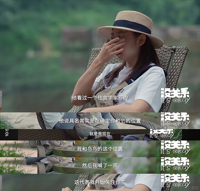 从路边一条逆袭成全网顶流的夜鹭，带抽象观鸟区走向大众？ - 45