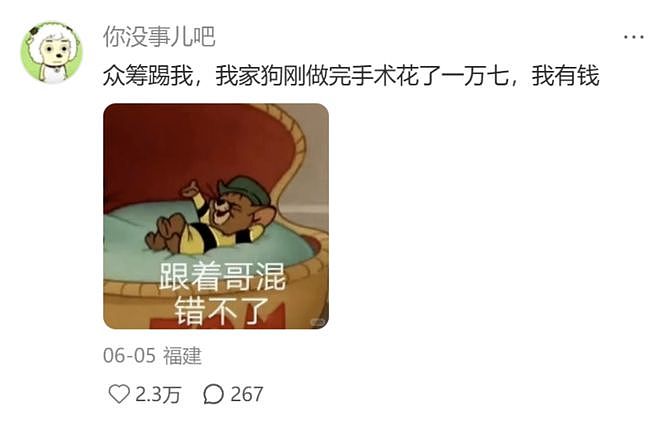 9岁流浪狗肚子长巨瘤惨遭主人遗弃，陌生网友几分钟把群捐满员…这才是互联网的意义吧！ - 5